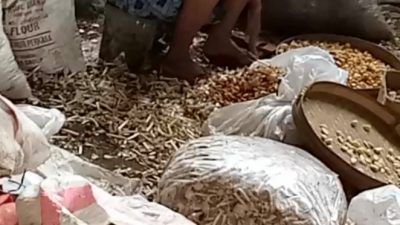 Usaha Pengolahan Limbah Plastik di Desa Sukoharjo Pati Diduga Jual Sampah Bawang Putih Sisa Produksi