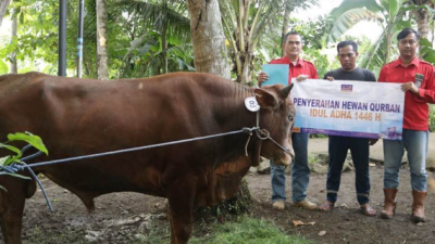 PLTU Cilacap dan Mitra Kerja Salurkan 37 Ekor Sapi dan 11 Ekor Kambing di Hari Raya Idul Adha 2025