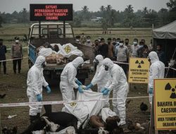 Pasca ditemukannya paparan Cesium-137 (Cs-137), zat radioaktif berbahaya, di wilayah Cikande, Pemerintah Kabupaten Serang meluncurkan kebijakan darurat