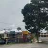 Foto: RM Mbak Ning yang diduga berdiri diatas tanah aset Desa Puntuk kecamatan Ngargoyoso kabupaten Karanganyar.(Portalljateng/Hds)